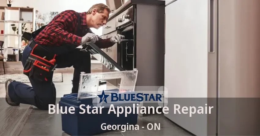 Blue Star Appliance Repair Georgina - ON