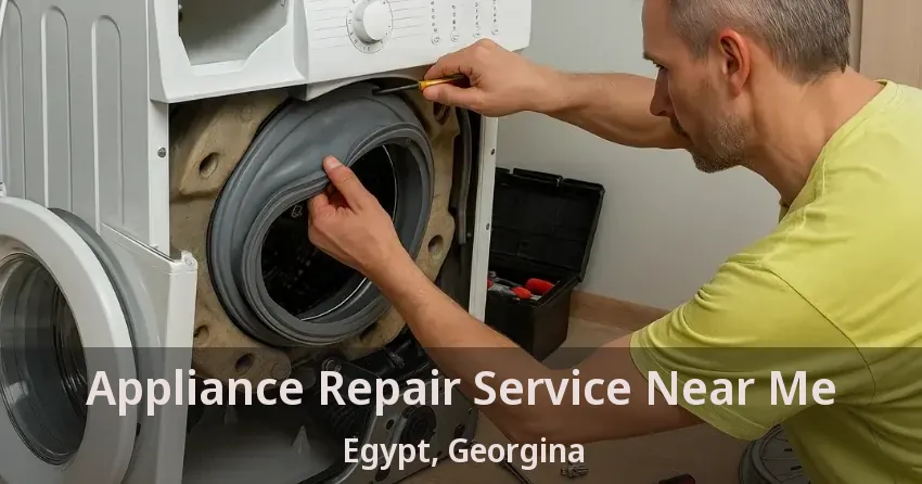 Appliance Repair Service Near Me Egypt, Georgina - ON