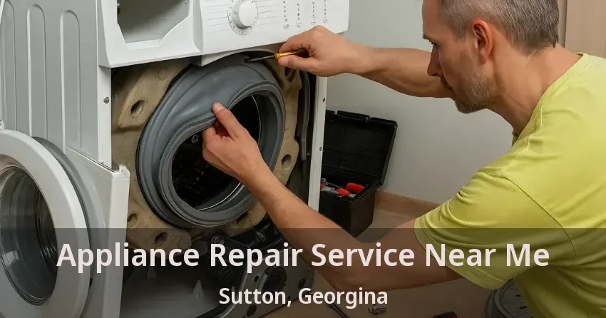 Appliance Repair Service Near Me Sutton, Georgina - ON