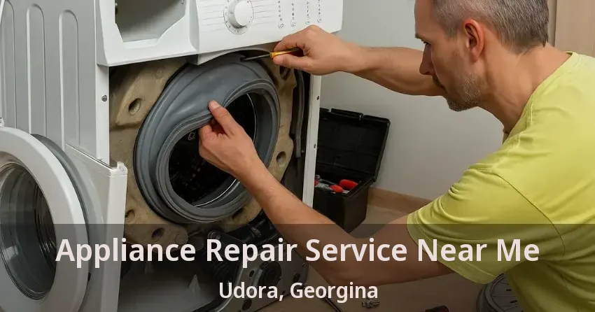 Appliance Repair Service Near Me Udora, Georgina - ON