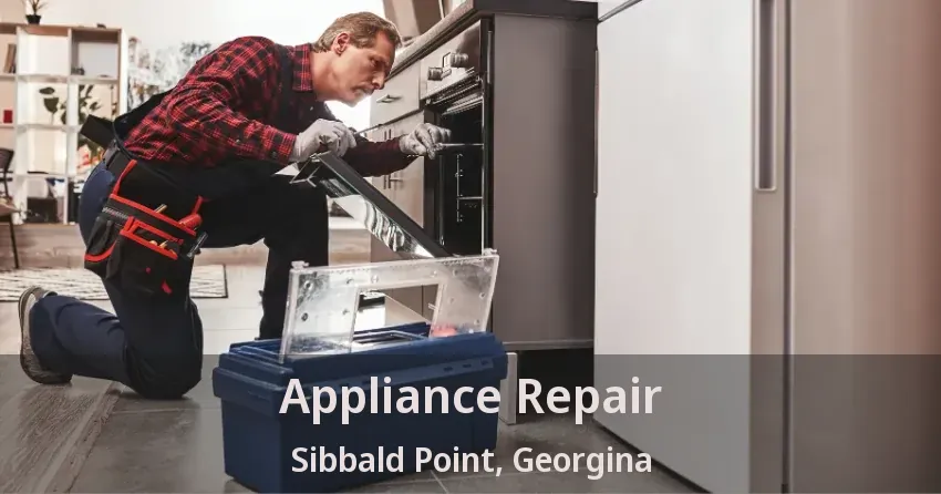 Appliance Repair Sibbald Point, Georgina - ON