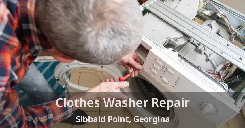 Clothes Washer Repair Sibbald Point, Georgina - ON