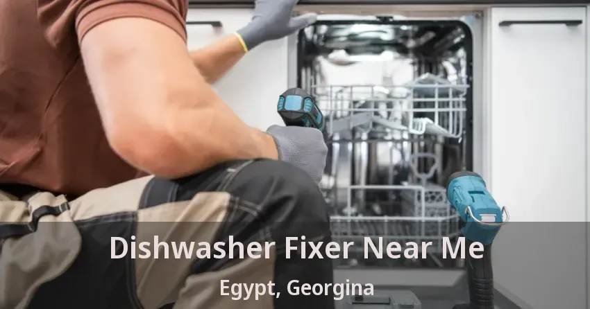 Dishwasher Fixer Near Me Egypt, Georgina - ON