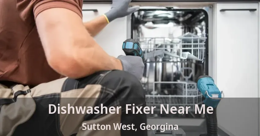 Dishwasher Fixer Near Me Sutton West, Georgina - ON