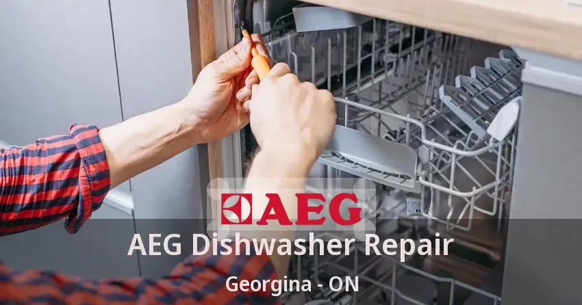 AEG Dishwasher Repair Georgina - ON