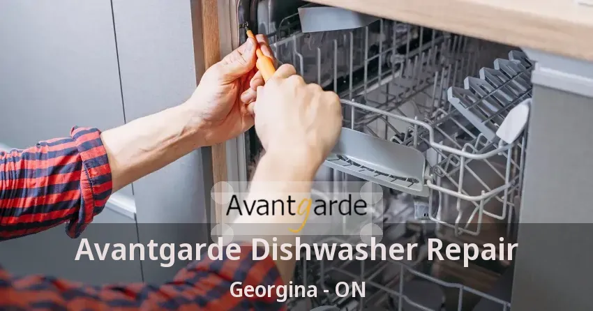 Avantgarde Dishwasher Repair Georgina - ON