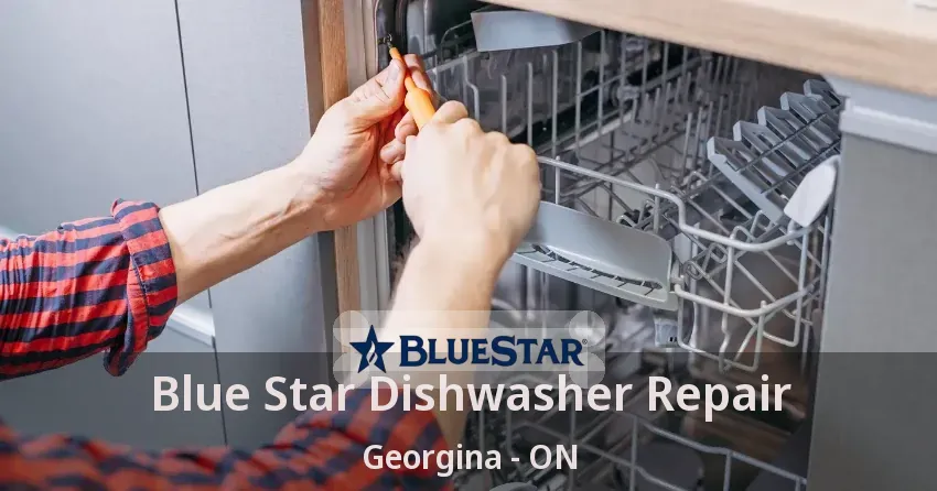 Blue Star Dishwasher Repair Georgina - ON