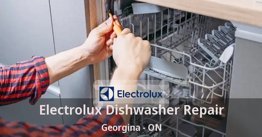 Electrolux Dishwasher Repair Georgina - ON