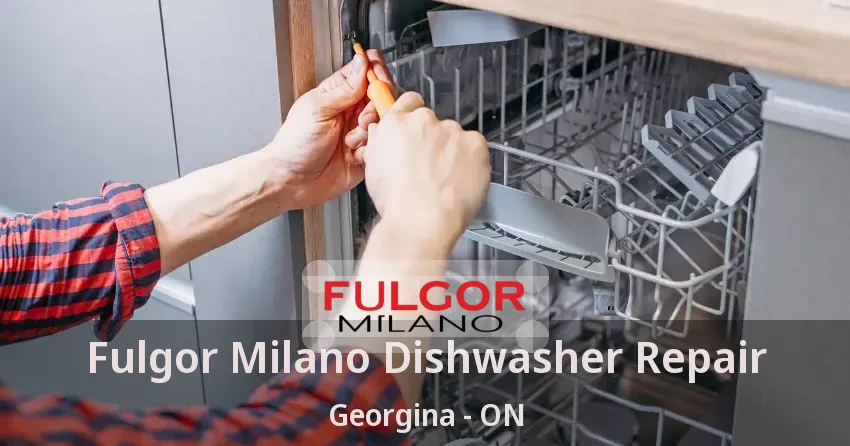 Fulgor Milano Dishwasher Repair Georgina - ON