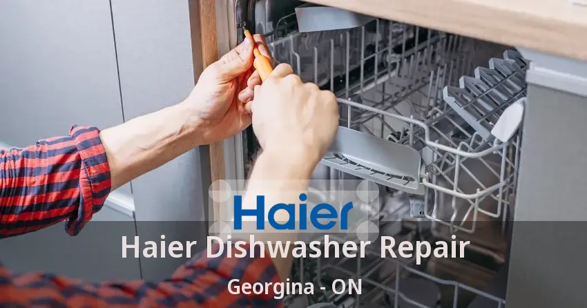 Haier Dishwasher Repair Georgina - ON