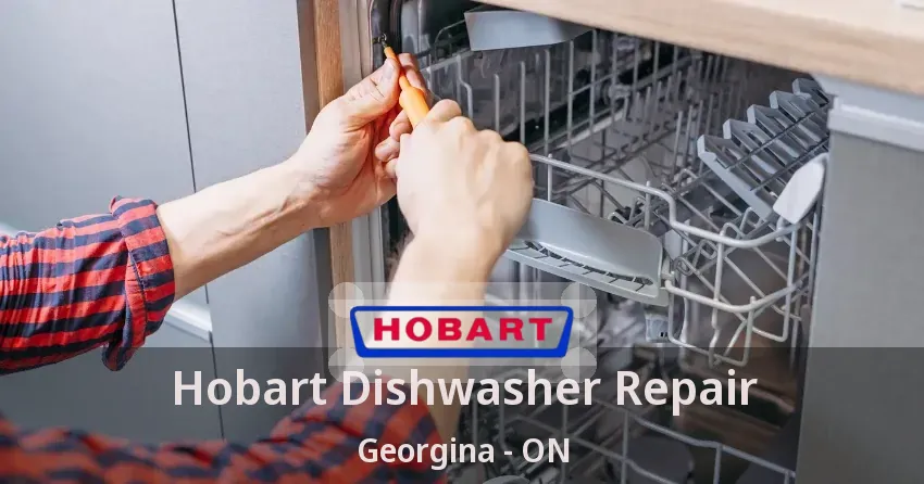Hobart Dishwasher Repair Georgina - ON