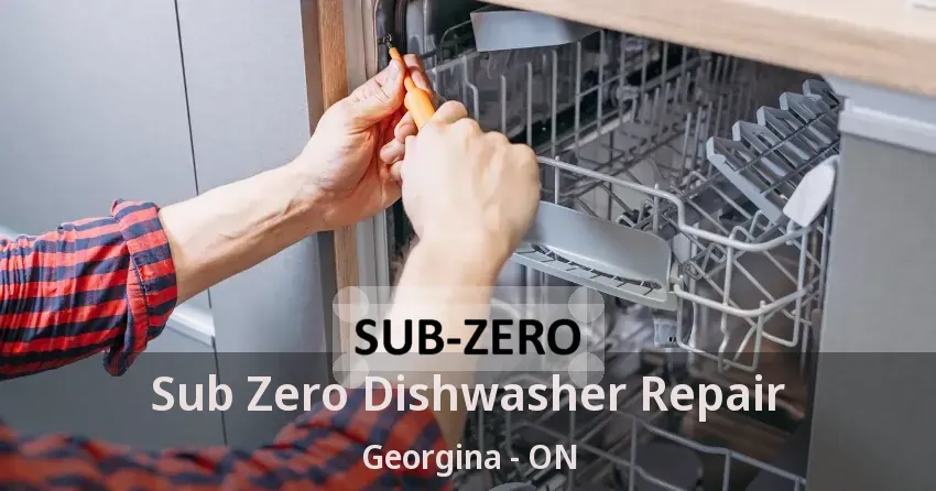 Sub Zero Dishwasher Repair Georgina - ON