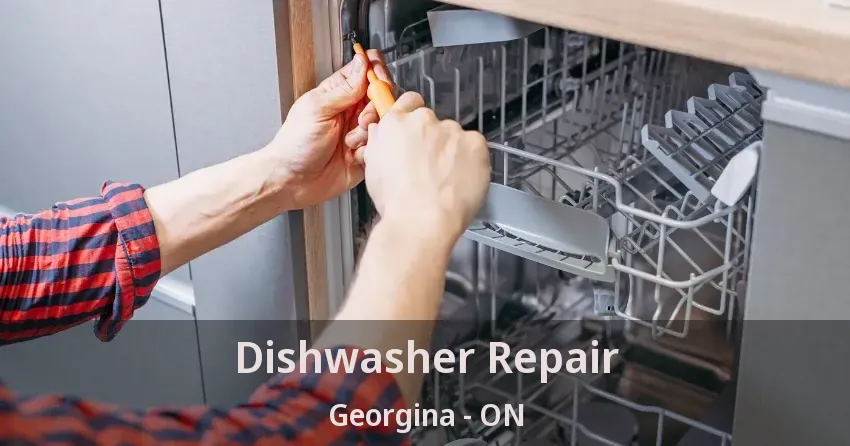 Dishwasher Repair Georgina - ON