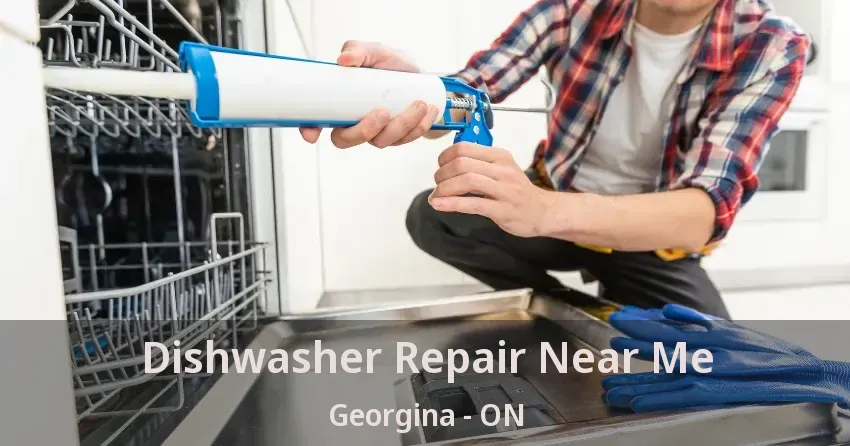 Dishwasher Repair Near Me Georgina - ON