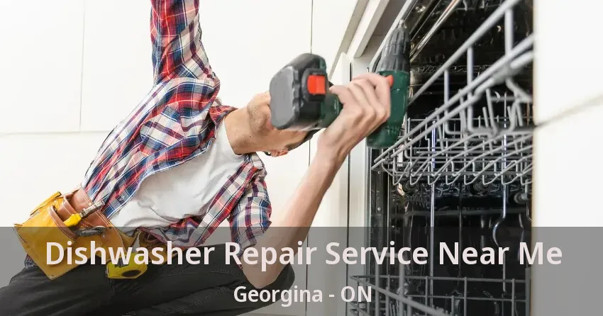 Dishwasher Repair Service Near Me Georgina - ON