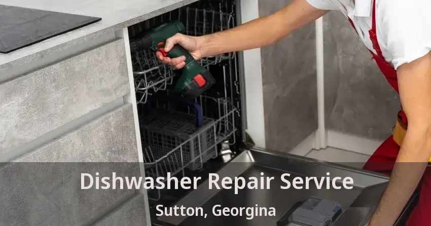 Dishwasher Repair Service Sutton, Georgina - ON