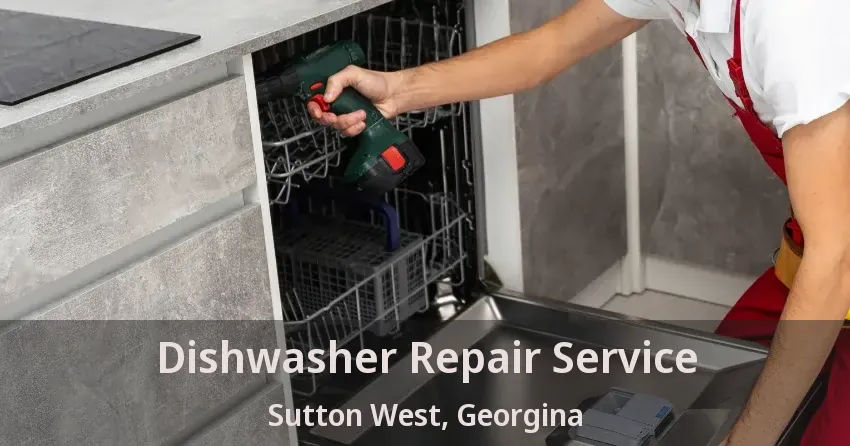 Dishwasher Repair Service Sutton West, Georgina - ON