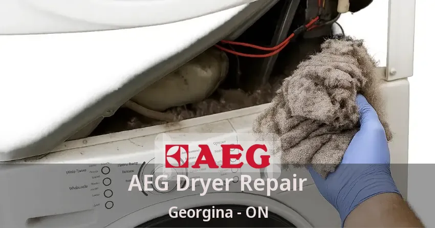AEG Dryer Repair Georgina - ON