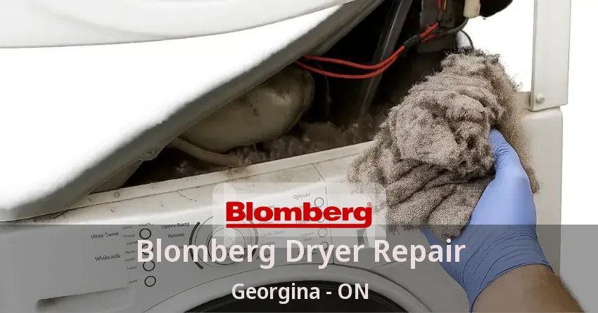 Blomberg Dryer Repair Georgina - ON
