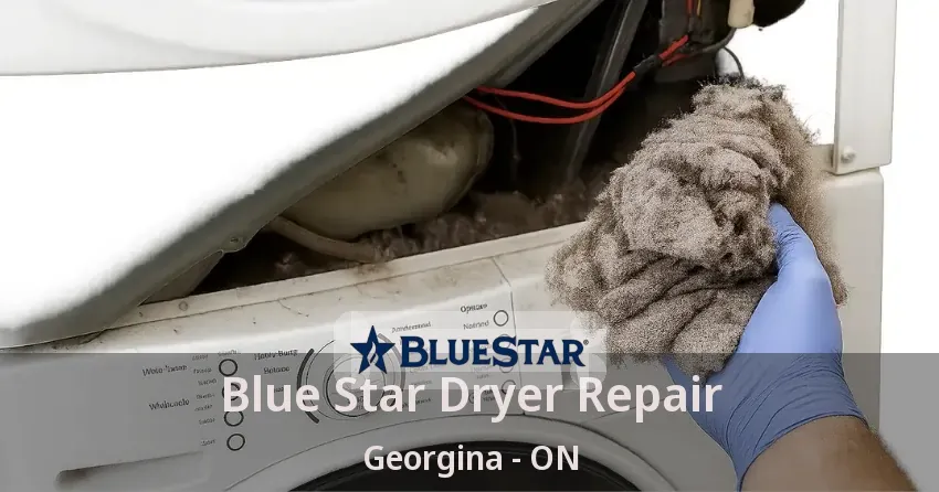 Blue Star Dryer Repair Georgina - ON