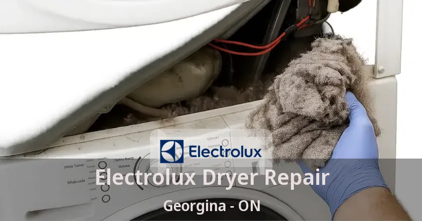 Electrolux Dryer Repair Georgina - ON