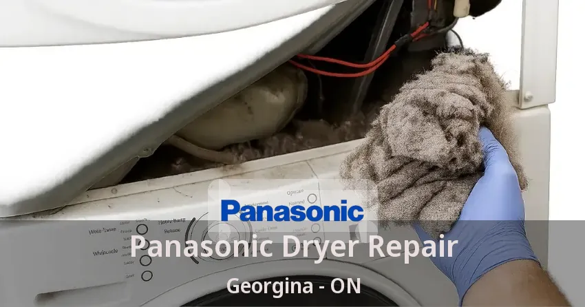 Panasonic Dryer Repair Georgina - ON