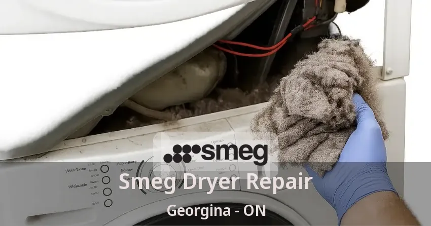 Smeg Dryer Repair Georgina - ON