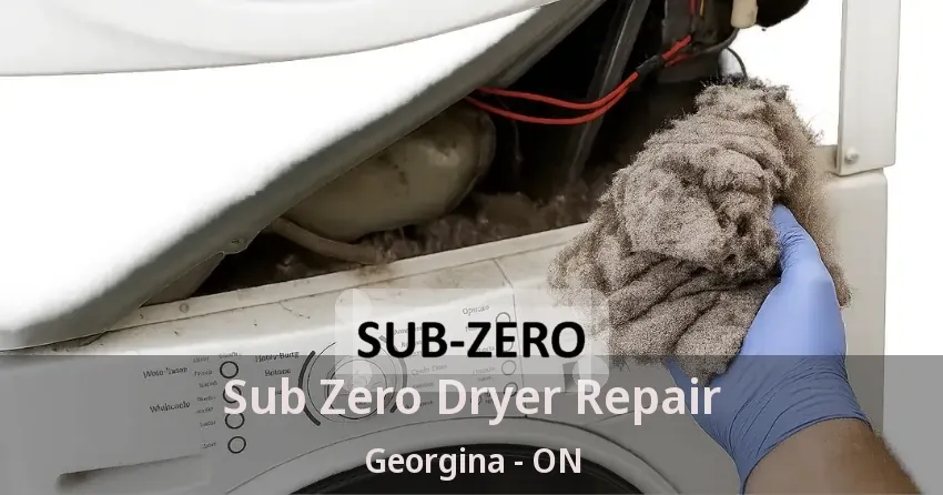 Sub Zero Dryer Repair Georgina - ON