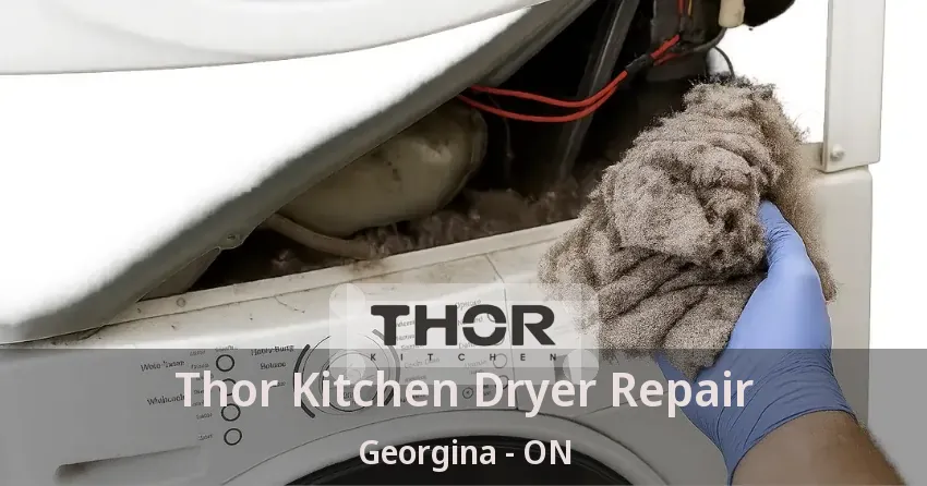 Thor Kitchen Dryer Repair Georgina - ON