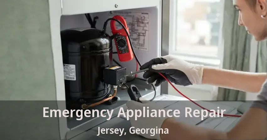 Emergency Appliance Repair Jersey, Georgina - ON