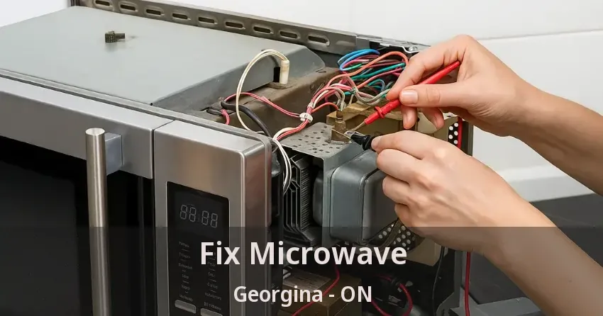 Fix Microwave Georgina - ON
