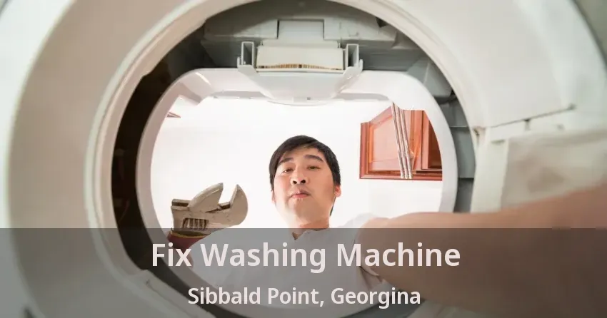 Fix Washing Machine Sibbald Point, Georgina - ON