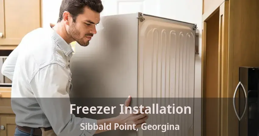 Freezer Installation Sibbald Point, Georgina - ON