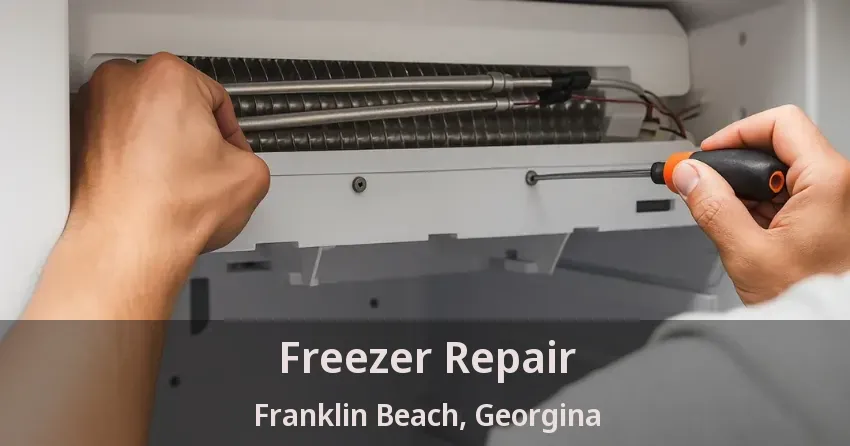Freezer Repair Franklin Beach, Georgina - ON