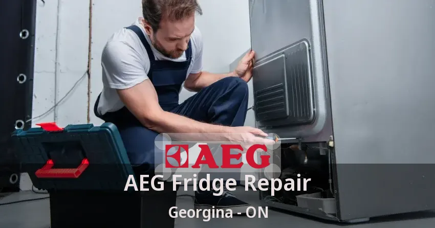 AEG Fridge Repair Georgina - ON