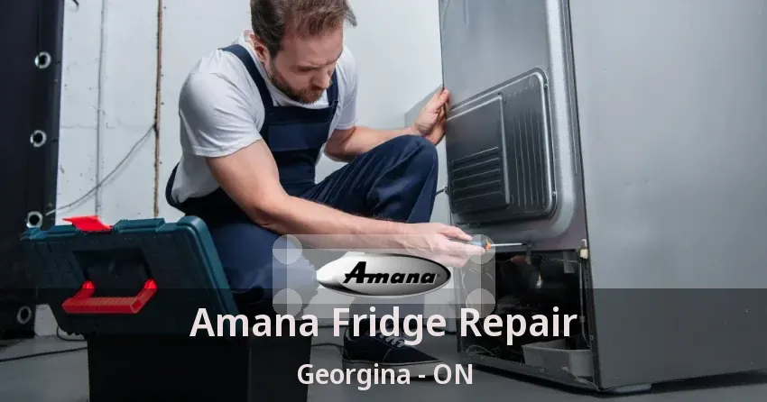 Amana Fridge Repair Georgina - ON