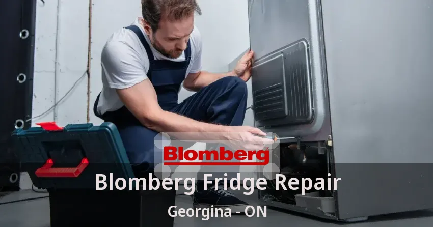 Blomberg Fridge Repair Georgina - ON