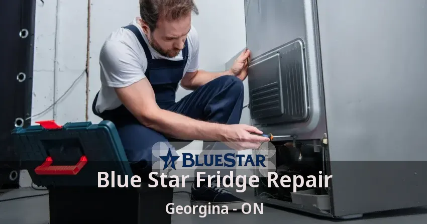 Blue Star Fridge Repair Georgina - ON