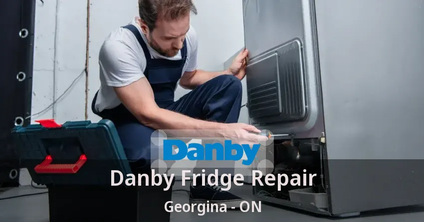 Danby Fridge Repair Georgina - ON