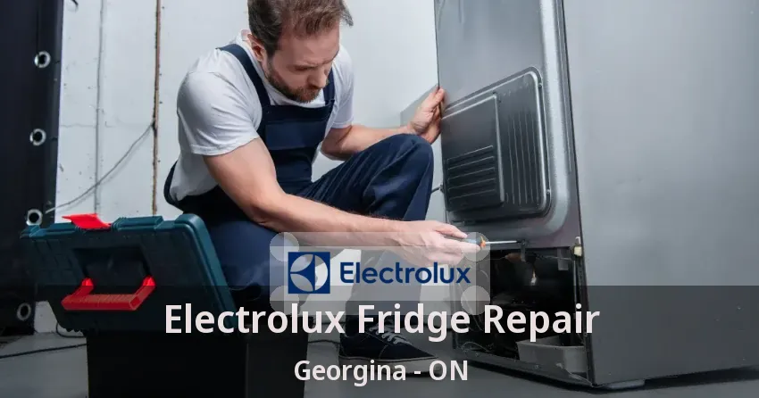 Electrolux Fridge Repair Georgina - ON