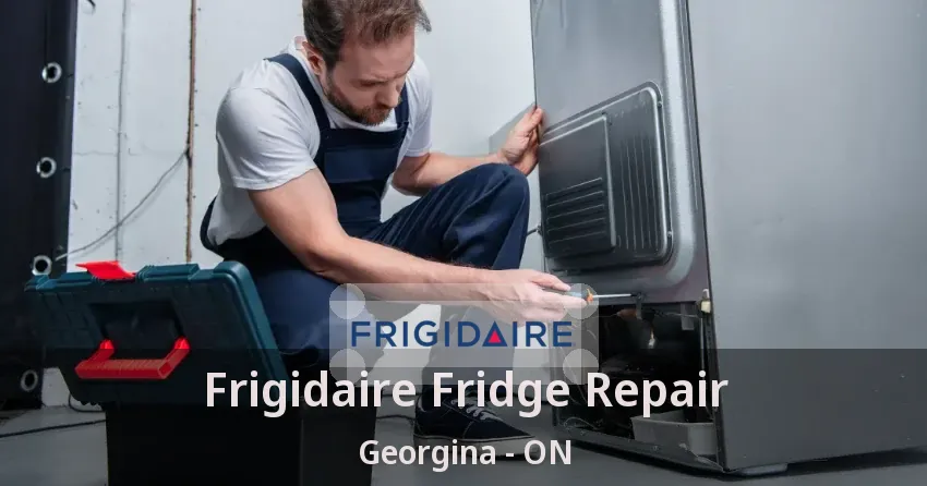 Frigidaire Fridge Repair Georgina - ON