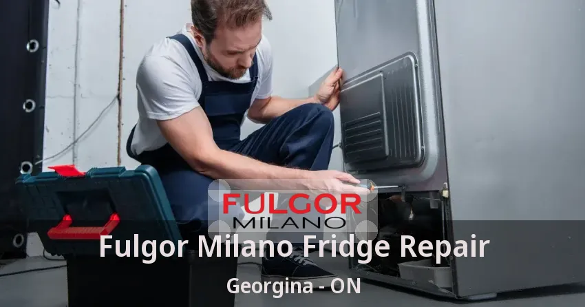 Fulgor Milano Fridge Repair Georgina - ON