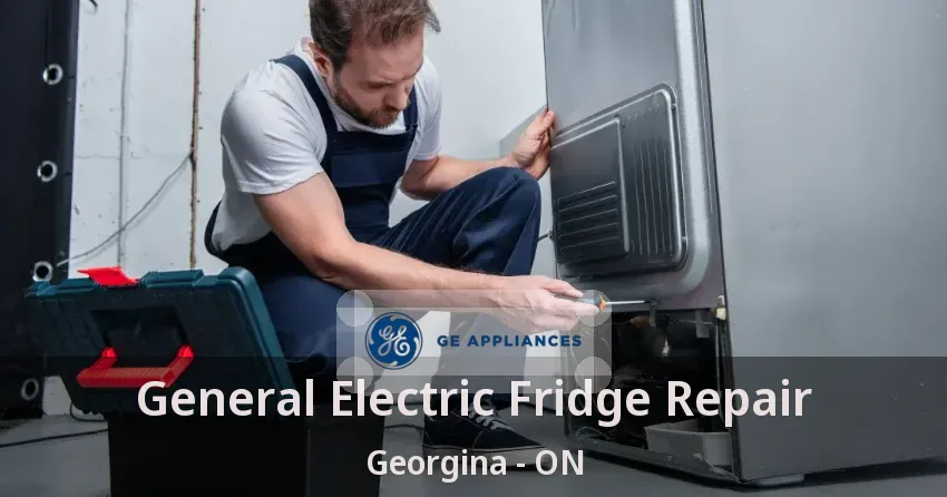 General Electric Fridge Repair Georgina - ON