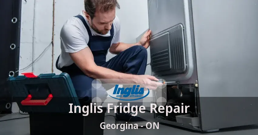 Inglis Fridge Repair Georgina - ON
