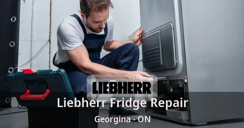 Liebherr Fridge Repair Georgina - ON