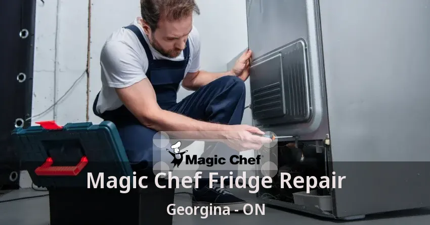 Magic Chef Fridge Repair Georgina - ON