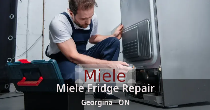 Miele Fridge Repair Georgina - ON