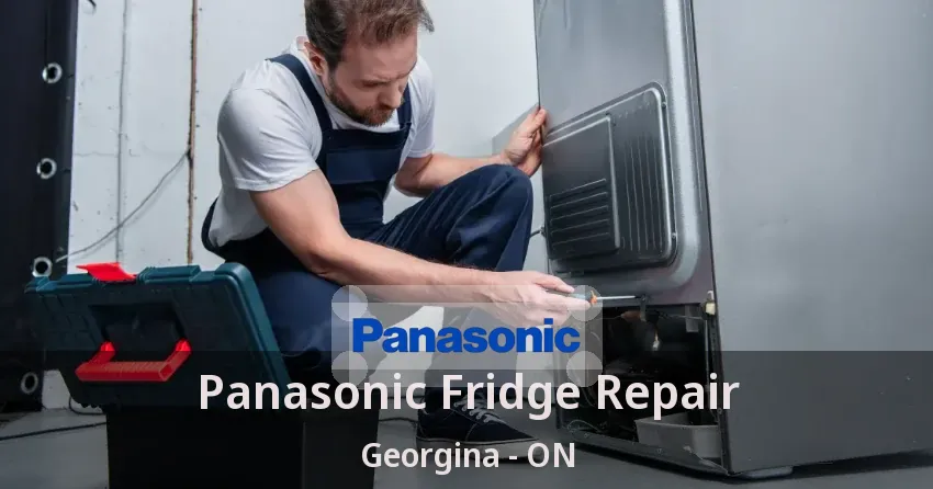 Panasonic Fridge Repair Georgina - ON