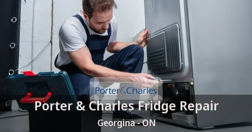 Porter & Charles Fridge Repair Georgina - ON