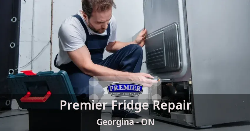 Premier Fridge Repair Georgina - ON